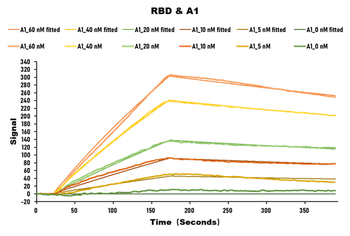 SARS-CoV-2 Spike RBD Nanobody Antibody