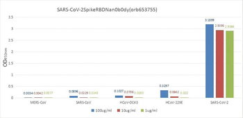 SARS-CoV-2 Spike RBD Nanobody Antibody