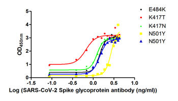 S Recombinant Monoclonal Antibody, Biotin conjugated