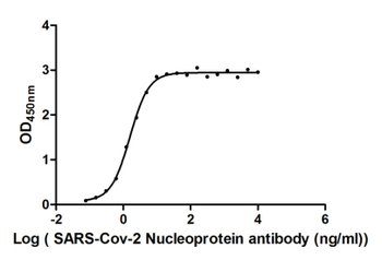 N Recombinant Monoclonal Antibody