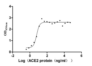 Human SARS coronavirus Spike glycoprotein(S) protein