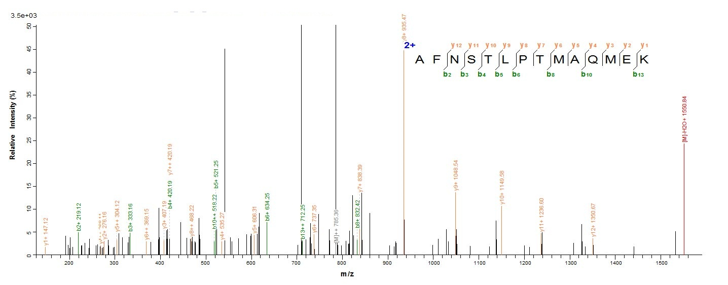Human CD44 protein