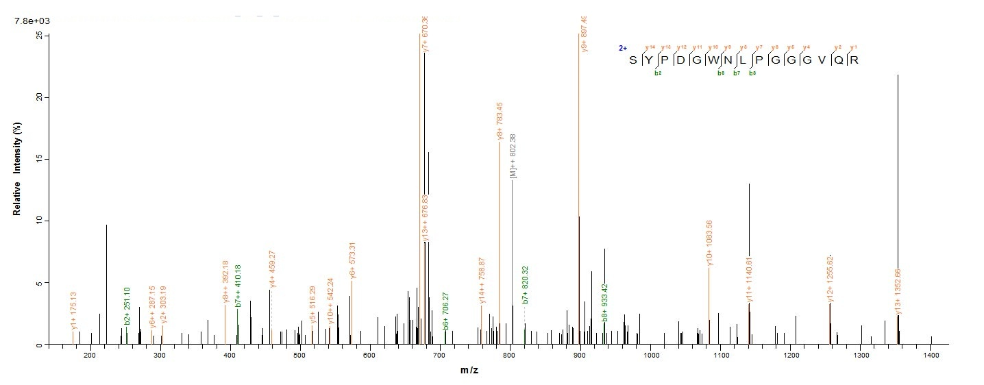 Human FOLH1 protein