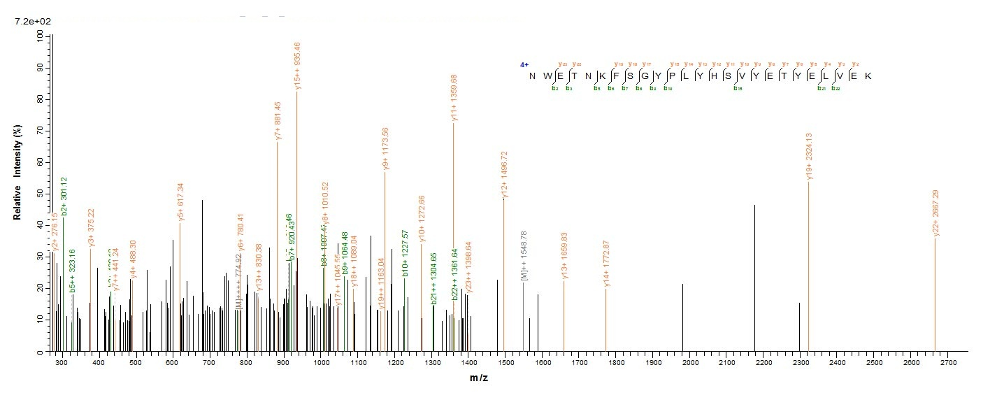 Human FOLH1 protein
