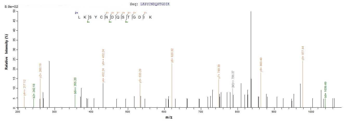 Human HPRT1 protein