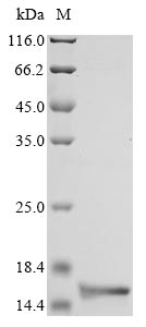 hupB protein