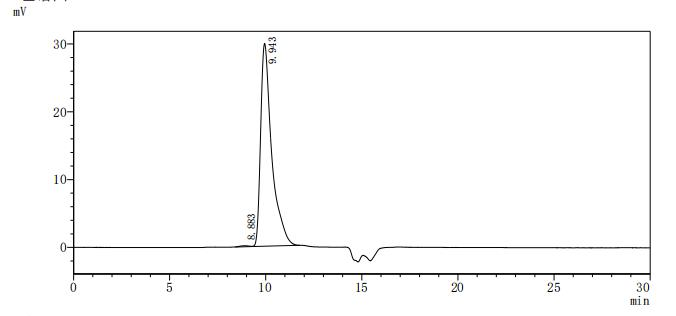 Human CD40 protein