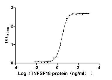 Human TNFSF18 protein