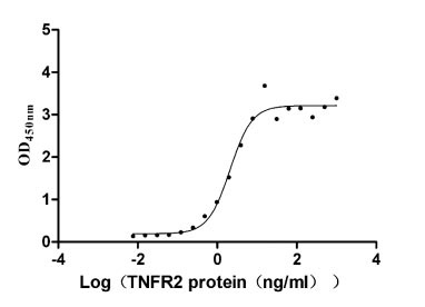 Human LTA protein