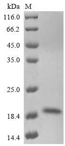 Enterovirus A71 Genome polyprotein protein