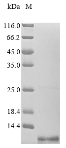 Enterovirus A71 Genome polyprotein protein