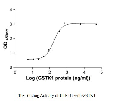 Human GSTK1 protein