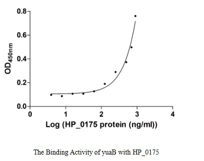 HP-0175 protein