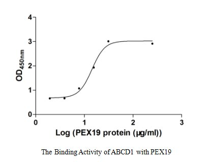 Human PEX19 protein