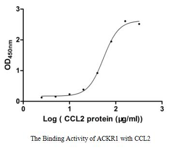 Human ACKR1 protein