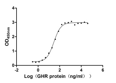 Human GHR protein