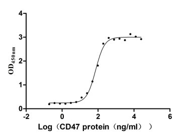 Human CD47 protein