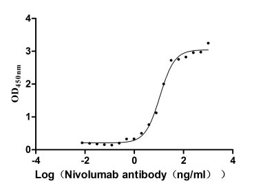 Human PDCD1 protein