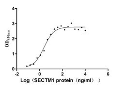 Human SECTM1 protein