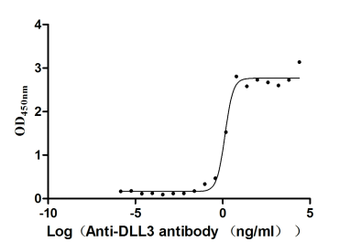 DLL3 Antibody