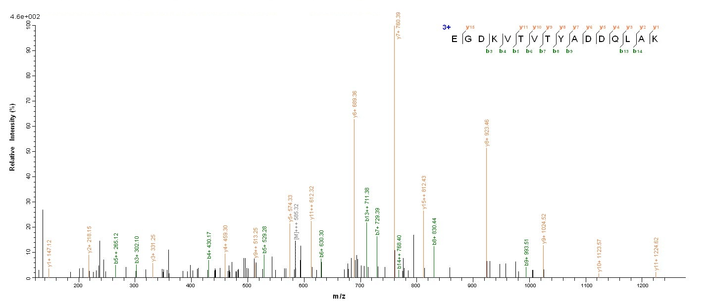 Bacterial dps protein