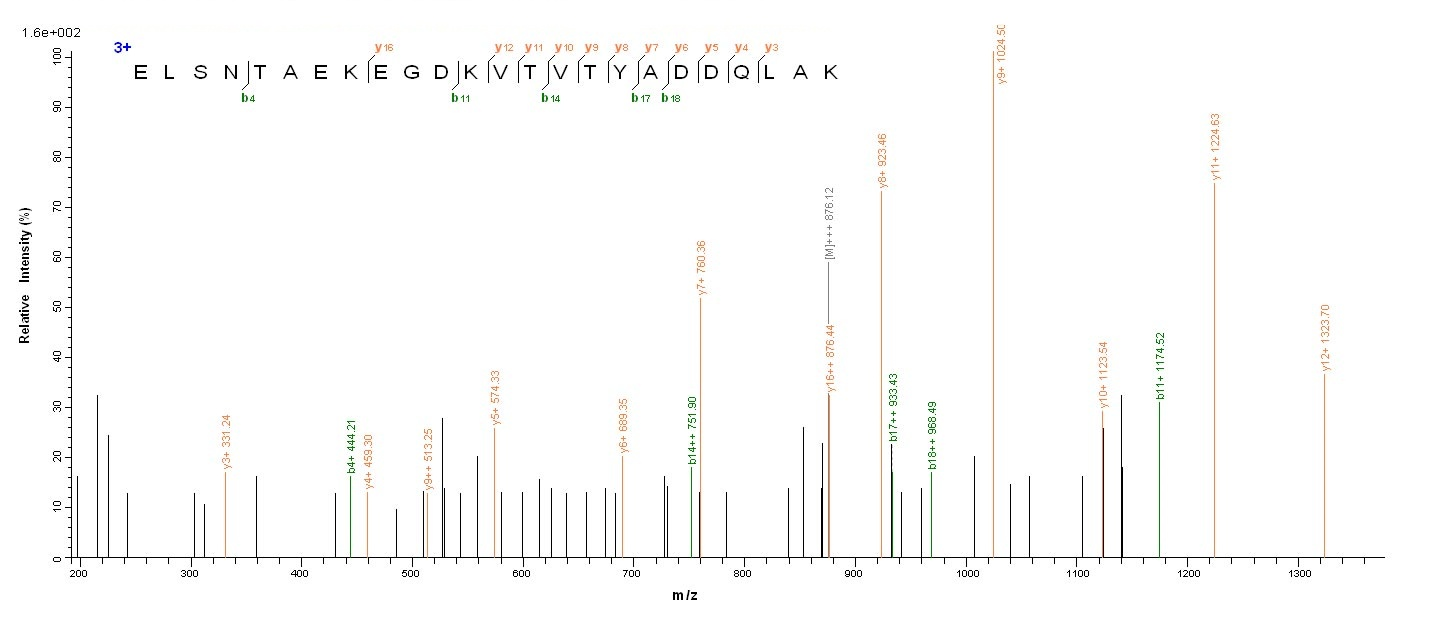 Bacterial dps protein