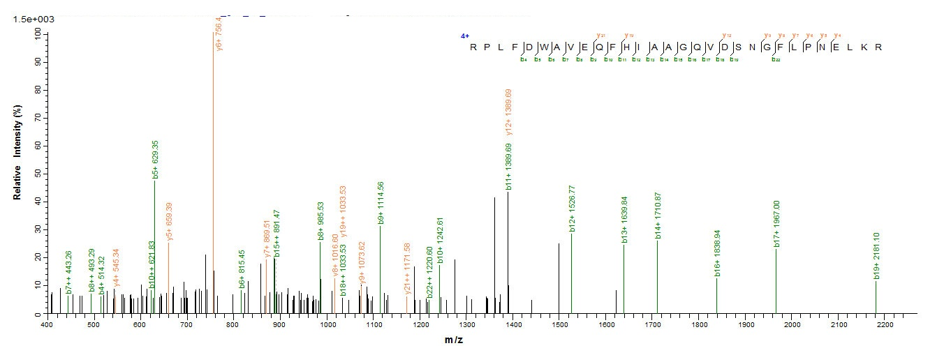 Recombinant Alginate lyase(algL)