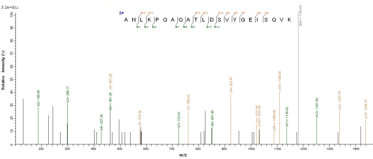 Viral ompA protein