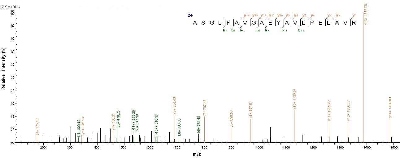 Viral ompA protein