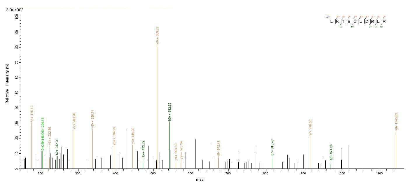 Drosophila lush protein