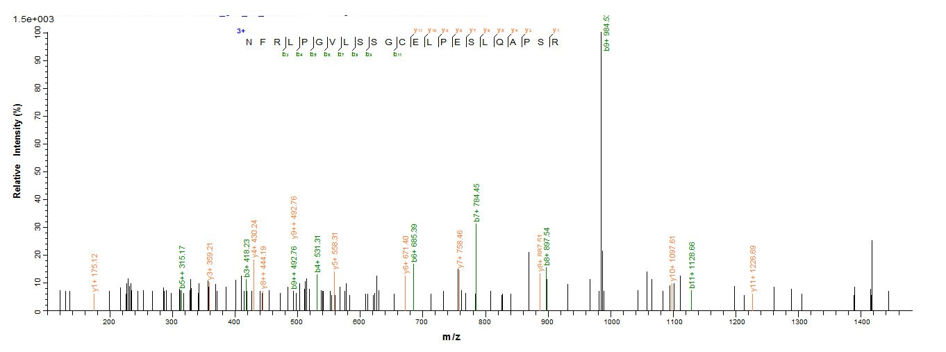 Human NR1I2 protein