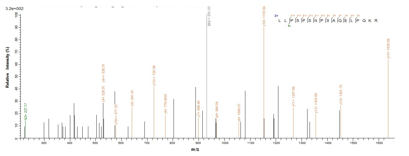 Mouse Aebp1 protein