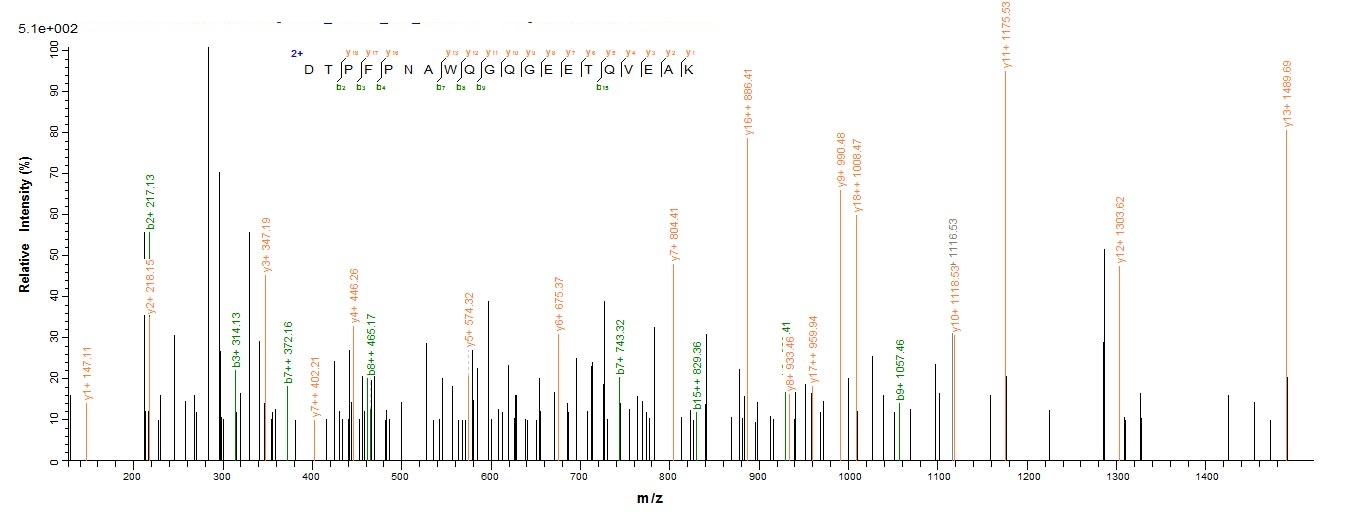 Mouse Aebp1 protein