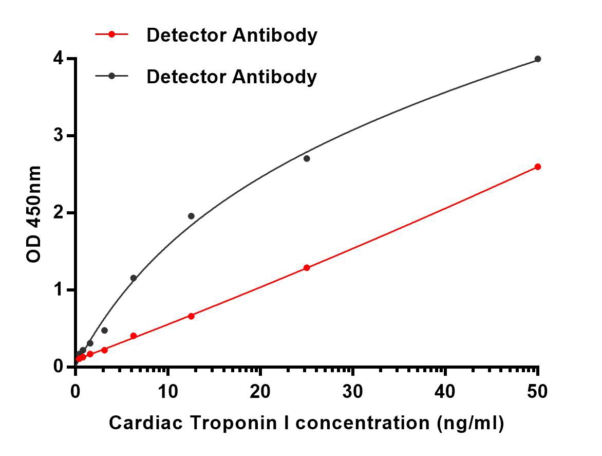 TNNI3 Antibody