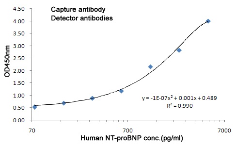 NPPB Antibody