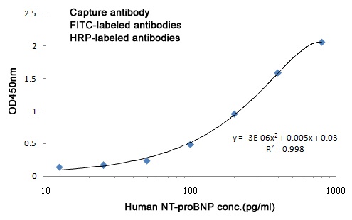 NPPB Antibody