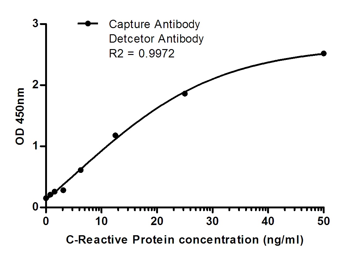 C Reactive Protein Mouse Monoclonal Antibody