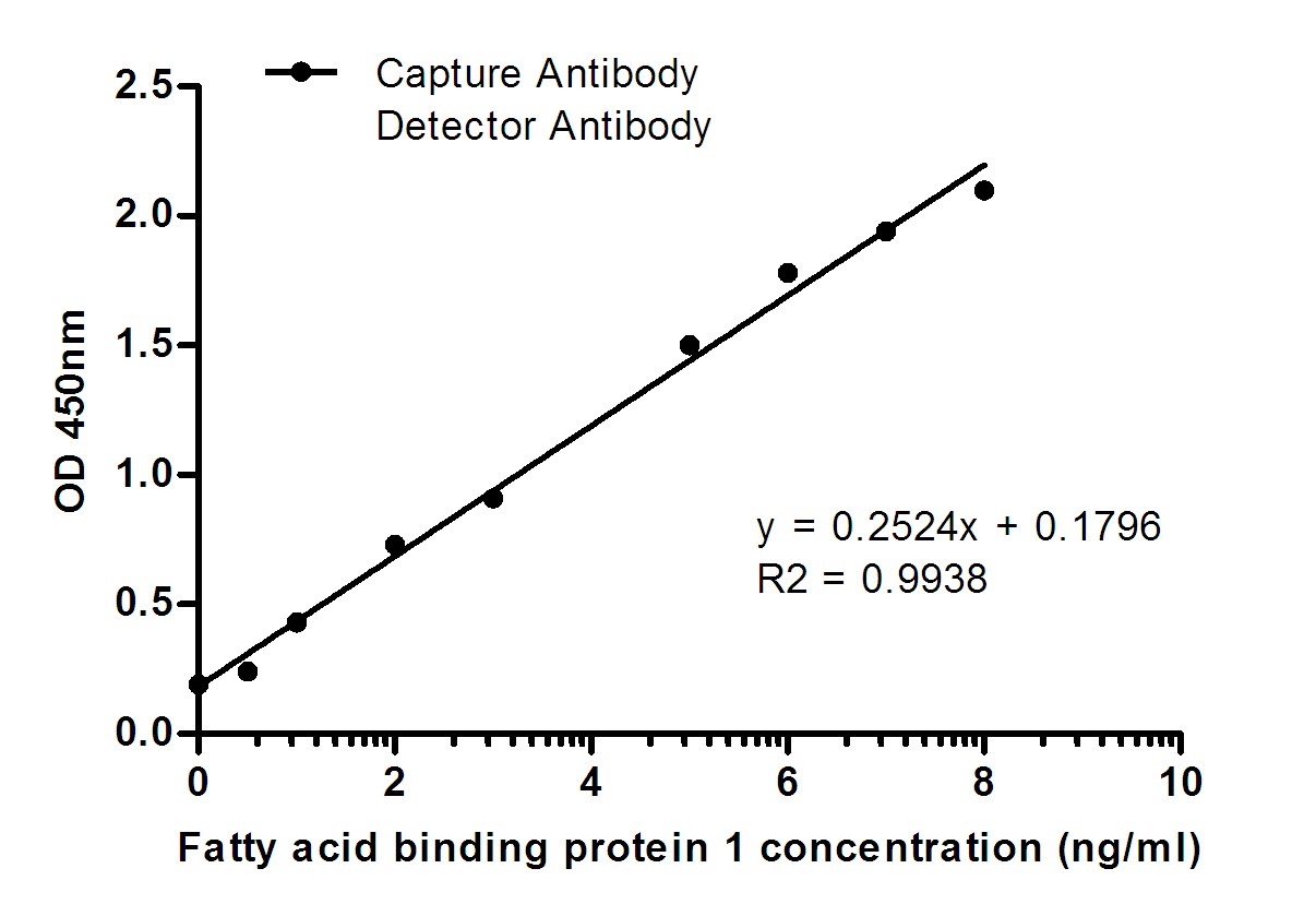 FABP1 (8G6) Mouse mAb