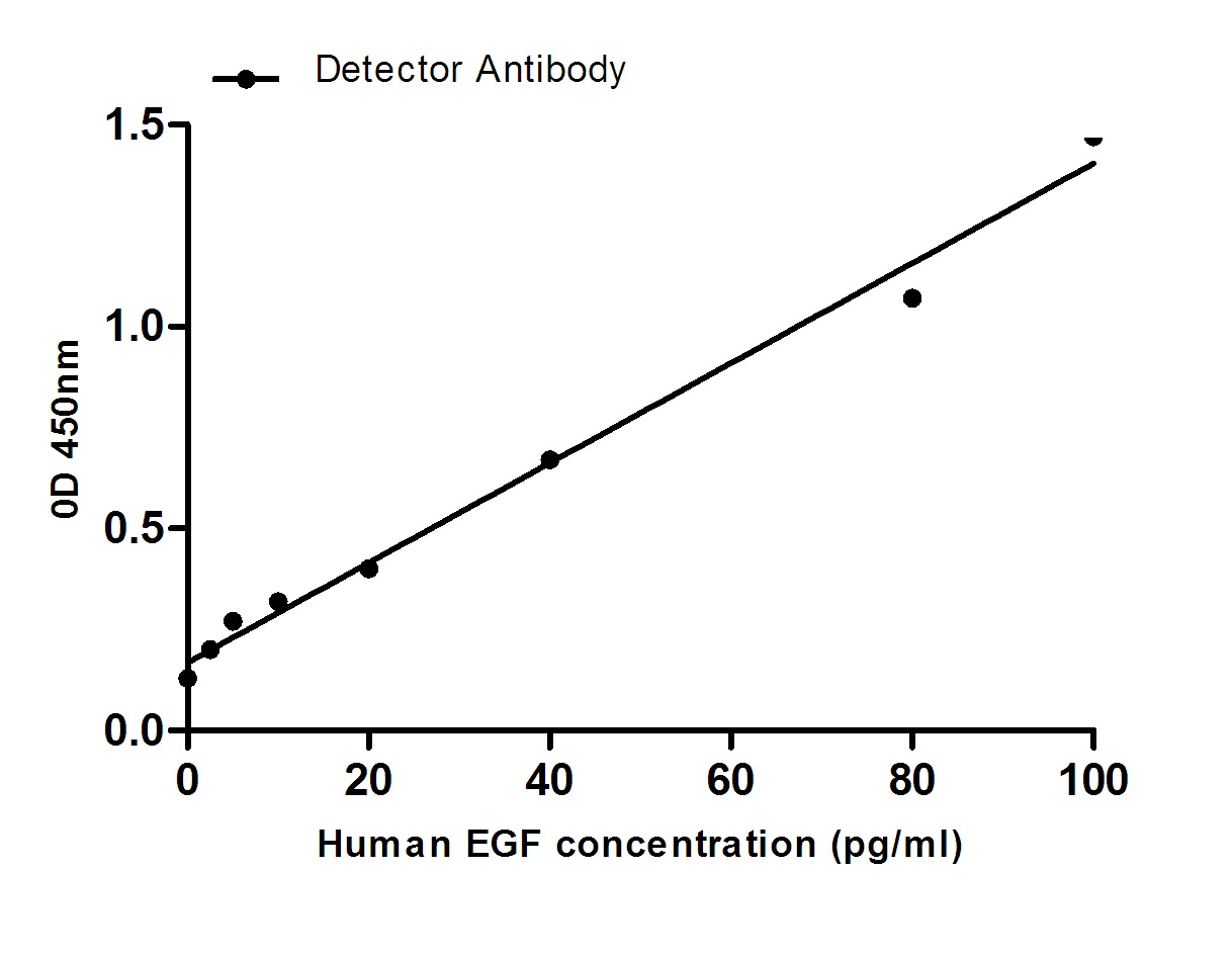 EGF (5E9) Mouse mAb