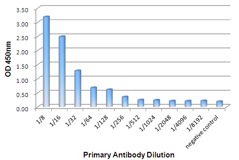 IGHG1 Antibody
