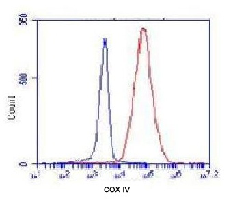 COX IV (4D11) Mouse mAb