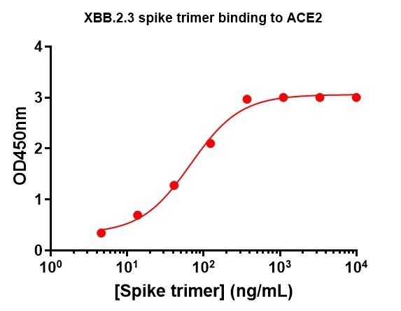 SARS-CoV-2 XBB.2.3 Omicron Variant Recombinant Spike Trimer His Tag
