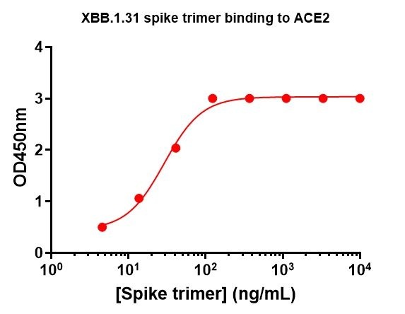 SARS-CoV-2 XBB.1.31 Omicron Variant Recombinant Spike Trimer His Tag