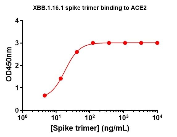 SARS-CoV-2 XBB.1.16.1 Omicron Variant Recombinant Spike Trimer His Tag