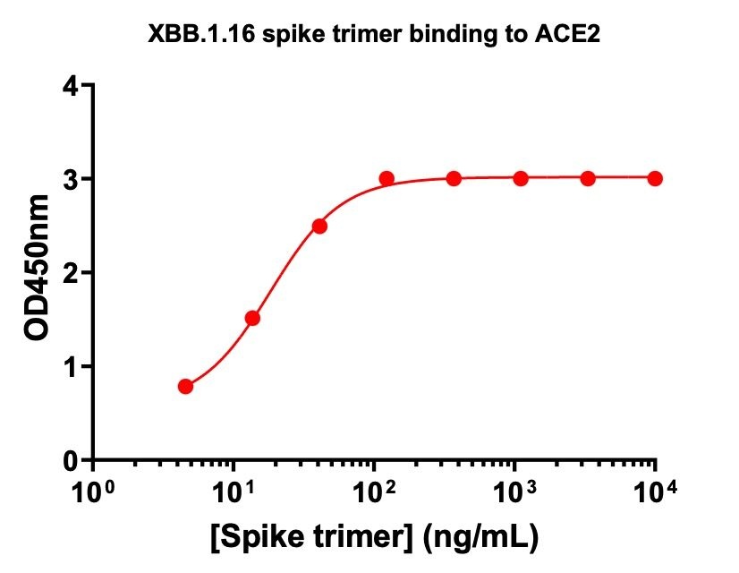 SARS-CoV-2 XBB.1.16 Omicron Variant Recombinant Spike Trimer His Tag