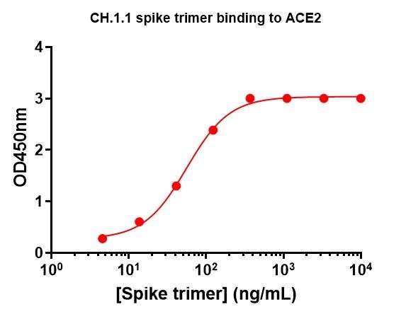 SARS-CoV-2 CH.1.1 Omicron Variant Recombinant Spike Trimer His Tag