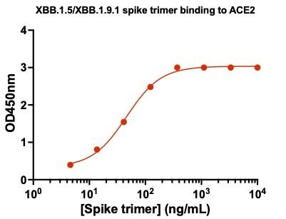 SARS-CoV-2 XBB.1.5 Omicron Variant Recombinant Spike Trimer His Tag