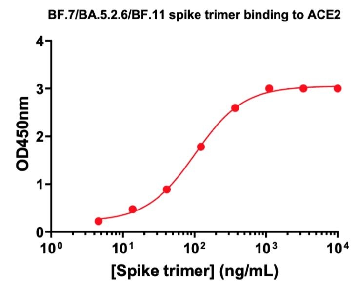 SARS-CoV-2 BF.7/BA.5.2.6/BF.11 Omicron Variant Recombinant Spike Trimer His Tag