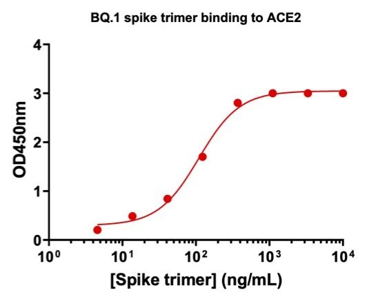 SARS-Cov-2 BQ.1 Omicron Variant Recombinant Spike Timer His Tag