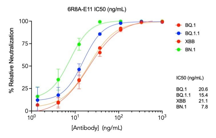 SARS-CoV-2 6R8A-E11 human neutralizing mAb Antibody